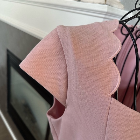 Pink Ann Taylor Dress with Scallop Detail - Picture 3 of 6
